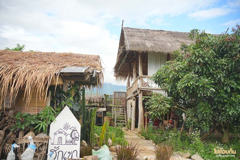 แม่แจ่ม, ที่พักแม่แจ่ม, ฮักเขา ณ แม่แจ่ม, ฮักเขา ณ แม่แจ่ม  ที่พักน่ารักกลางหุบเขา อาหารอร่อยจัดเต็ม