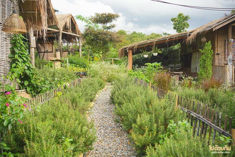 แม่แจ่ม, ที่พักแม่แจ่ม, ฮักเขา ณ แม่แจ่ม, ฮักเขา ณ แม่แจ่ม  ที่พักน่ารักกลางหุบเขา อาหารอร่อยจัดเต็ม