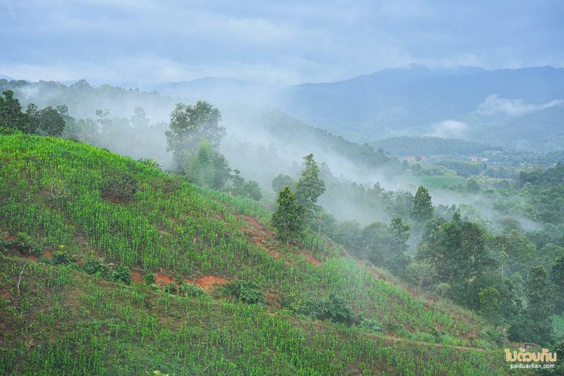 แม่แจ่ม, ที่พักแม่แจ่ม, ฮักเขา ณ แม่แจ่ม, ฮักเขา ณ แม่แจ่ม  ที่พักน่ารักกลางหุบเขา อาหารอร่อยจัดเต็ม