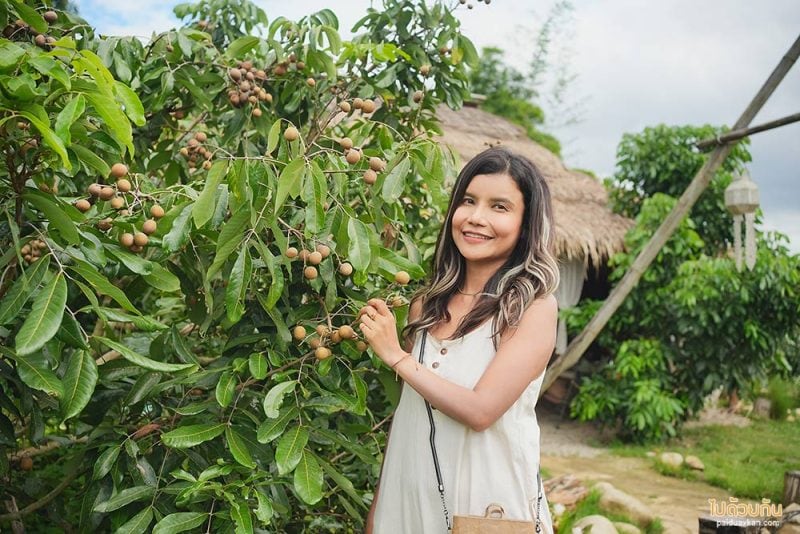 แม่แจ่ม, ที่พักแม่แจ่ม, ฮักเขา ณ แม่แจ่ม, ฮักเขา ณ แม่แจ่ม  ที่พักน่ารักกลางหุบเขา อาหารอร่อยจัดเต็ม