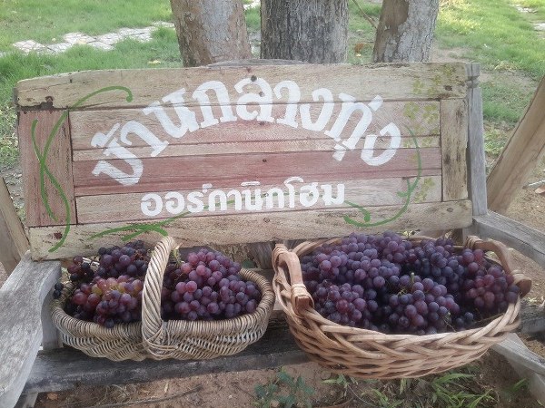 top 5+ ที่พักกาญจนบุรีราคาถูก ราคาหลักร้อย วิวสวย นอนสบาย