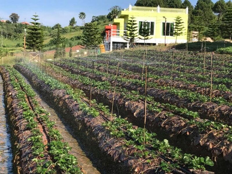 top 6+ จุดกางเต็นท์เขาค้อ 2567 เพชรบูรณ์ ชมวิวทะเลหมอกสวยๆ