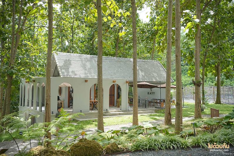 เที่ยวมวกเหล็ก, เที่ยวสระบุรี, rayy  café  มวกเหล็ก คาเฟ่ร่มรื่น กลางป่าสัก