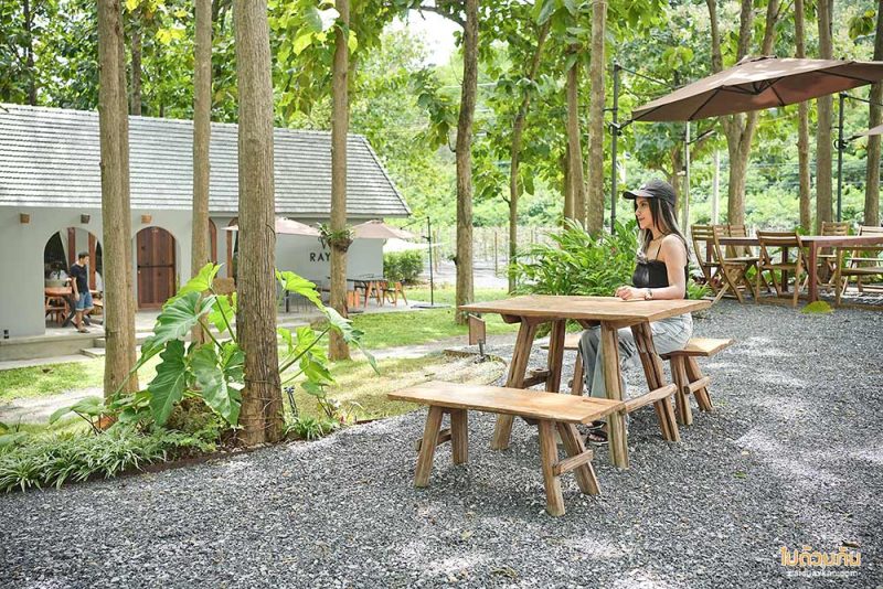 เที่ยวมวกเหล็ก, เที่ยวสระบุรี, rayy  café  มวกเหล็ก คาเฟ่ร่มรื่น กลางป่าสัก