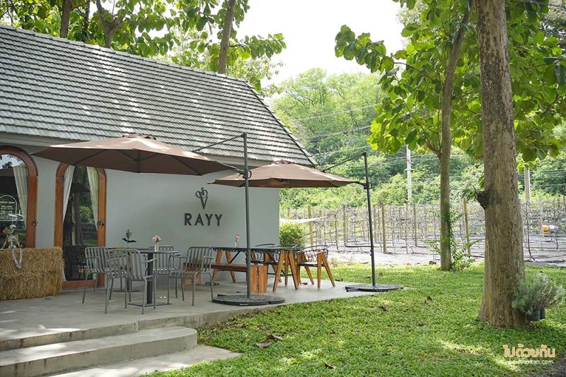เที่ยวมวกเหล็ก, เที่ยวสระบุรี, rayy  café  มวกเหล็ก คาเฟ่ร่มรื่น กลางป่าสัก