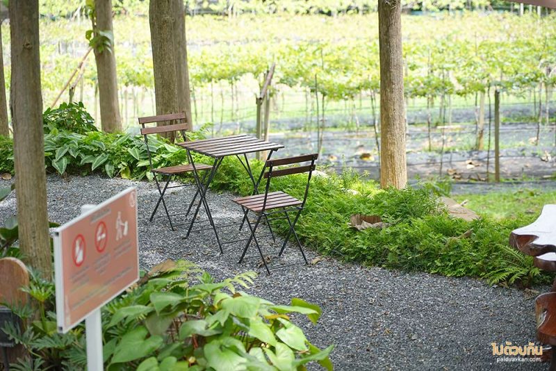 เที่ยวมวกเหล็ก, เที่ยวสระบุรี, rayy  café  มวกเหล็ก คาเฟ่ร่มรื่น กลางป่าสัก