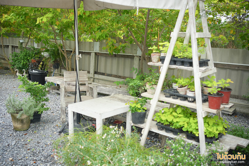 คาเฟ่นนทบุรี, the barn brasserie, คาเฟ่บางกรวย, the barn brasserie  คาเฟ่น่ารัก ตกแต่งสไตล์โรงนา ย่านบางกรวย