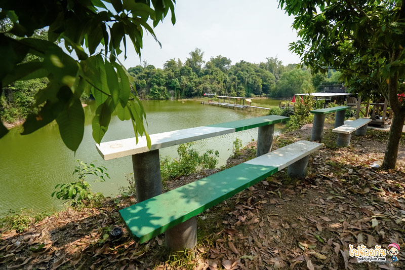 คาเฟ่นครนายก, ร้านอาหารนครนายก, ลับแลคาเฟ่ นครนายก, ลับแลคาเฟ่ นครนายก คาเฟ่ลับ วิวสุดปัง ฟีลแกรนด์แคนยอน