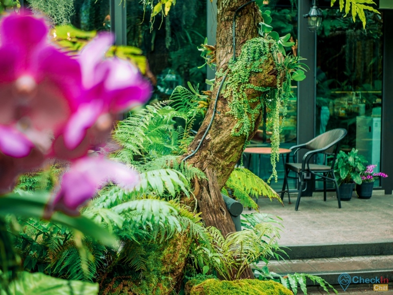 10cc coffee and co, 201 slow bar, breeze cafe & bar, dna.do not awkward cafe, dx playground, hidden backyard, mitte coffee, nooch coffee, rynn kaffe, คาเฟ่ ย่านเมืองทองธานี, คาเฟ่นนทบุรี, คาเฟ่นนทบุรี 2022, คาเฟ่นนทบุรี 2565, คาเฟ่เมืองทอง, คาเฟ่เมืองทอง 2022, คาเฟ่เมืองทอง 2565, คาเฟ่เมืองทองธานี, คาเฟ่เมืองทองธานี 2022, คาเฟ่เมืองทองธานี 2565, คาเฟ่ในเมืองทอง, รีวิวคาเฟ่เมืองทอง, top 9+ คาเฟ่เมืองทองธานี ที่ชาวนนทบุรีห้ามพลาด อัปเดต 2024