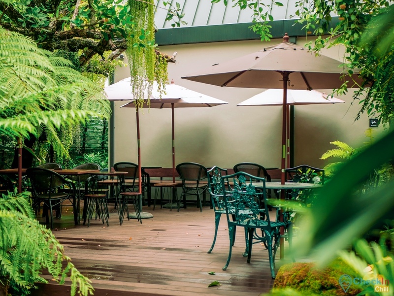 10cc coffee and co, 201 slow bar, breeze cafe & bar, dna.do not awkward cafe, dx playground, hidden backyard, mitte coffee, nooch coffee, rynn kaffe, คาเฟ่ ย่านเมืองทองธานี, คาเฟ่นนทบุรี, คาเฟ่นนทบุรี 2022, คาเฟ่นนทบุรี 2565, คาเฟ่เมืองทอง, คาเฟ่เมืองทอง 2022, คาเฟ่เมืองทอง 2565, คาเฟ่เมืองทองธานี, คาเฟ่เมืองทองธานี 2022, คาเฟ่เมืองทองธานี 2565, คาเฟ่ในเมืองทอง, รีวิวคาเฟ่เมืองทอง, top 9+ คาเฟ่เมืองทองธานี ที่ชาวนนทบุรีห้ามพลาด อัปเดต 2024