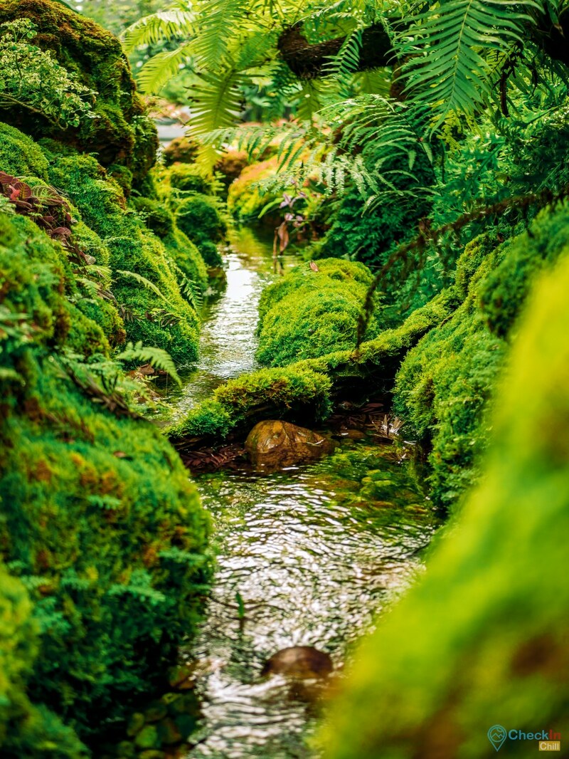 10cc coffee and co, 201 slow bar, breeze cafe & bar, dna.do not awkward cafe, dx playground, hidden backyard, mitte coffee, nooch coffee, rynn kaffe, คาเฟ่ ย่านเมืองทองธานี, คาเฟ่นนทบุรี, คาเฟ่นนทบุรี 2022, คาเฟ่นนทบุรี 2565, คาเฟ่เมืองทอง, คาเฟ่เมืองทอง 2022, คาเฟ่เมืองทอง 2565, คาเฟ่เมืองทองธานี, คาเฟ่เมืองทองธานี 2022, คาเฟ่เมืองทองธานี 2565, คาเฟ่ในเมืองทอง, รีวิวคาเฟ่เมืองทอง, top 9+ คาเฟ่เมืองทองธานี ที่ชาวนนทบุรีห้ามพลาด อัปเดต 2024