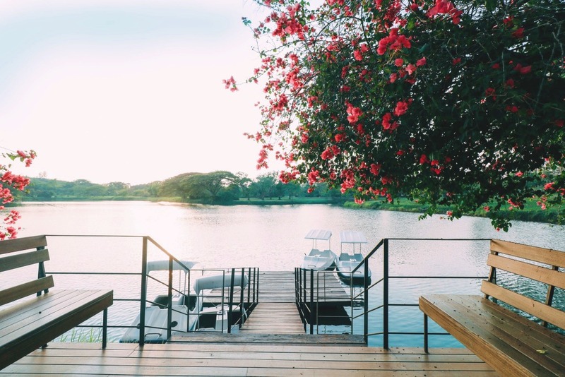 saint tropez beach resort hotel, seashell village resort, จันทบุรี, ชานบุรี บูทิก, ชานบุรี บูทิก รีสอร์ต, ชาเทรียม กอล์ฟ, ซีเชลล์ วิลเลจ, ซีเชลล์ วิลเลจ รีสอร์ท, ซีโคโค่รีสอร์ท, ดี วารี ดีวา, ที่พัก หาดเจ้าหลาว, ที่พักจันทบุรี, ที่พักจันทบุรี 2023, ที่พักจันทบุรี 2566, ที่พักจันทบุรี 2567, ที่พักจันทบุรี ติดทะเล, ที่พักจันทบุรี ติดหาด, ที่พักจันทบุรี เจ้าหลาว, ที่พักจันทบุรี ในเมือง, ที่พักจันทบุรีคติดทะเล, ที่พักจันทบุรีติดทะเล เล่นน้ำได้, ที่พักเมืองรอง, บ้านหลวงราชไมตรี, บ้านอิ่มสุข รีสอร์ท, ปูนปั้นโพสเทล, ผึ้งหลวง ริเวอร์ไซด์ โฮเต็ล, มณีจันท์ รีสอร์ท, มัลดีฟส์ บีช, รังสิยา บูติก โฮเทล, รังสิยา บูทิก โฮเต็ล, รีสอร์ท จันทบุรี, วิลลาพระจันทร์, เจ้าหลาว คาบาน่า รีสอร์ท, เชิญจันท์ โฮสเทล, เซนส์ โทรเปซ บีช รีสอร์ท โฮเทล, เดอะพีค จันทบุรี, เบดกัสซั่ม โฮสเทล, เป๊กกี้ โคฟ รีสอร์ท, แซนด์ ดูนส์ เจ้าหลาว, แรบบิซ ฮิลล์, โรงแรม จันทบุรี, โรงแรม รีเวอร์ราวรรณ, top 30+ ที่พัก จันทบุรี วิวสวย [กรกฎาคม 2024] ที่พักโดน ๆ สุดชิลล์