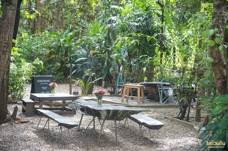 ร้านกาแฟเชียงดาว, คาเฟ่เชียงดาว, ฮกหลง เชียงดาว, ฮกหลง คาเฟ่บ้านไม้แสนร่มรื่น แห่งเชียงดาว