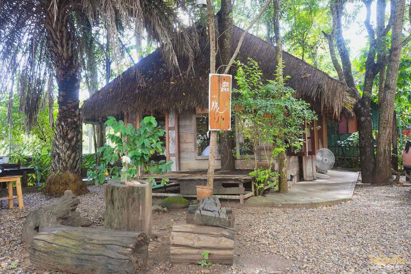 ร้านกาแฟเชียงดาว, คาเฟ่เชียงดาว, ฮกหลง เชียงดาว, ฮกหลง คาเฟ่บ้านไม้แสนร่มรื่น แห่งเชียงดาว