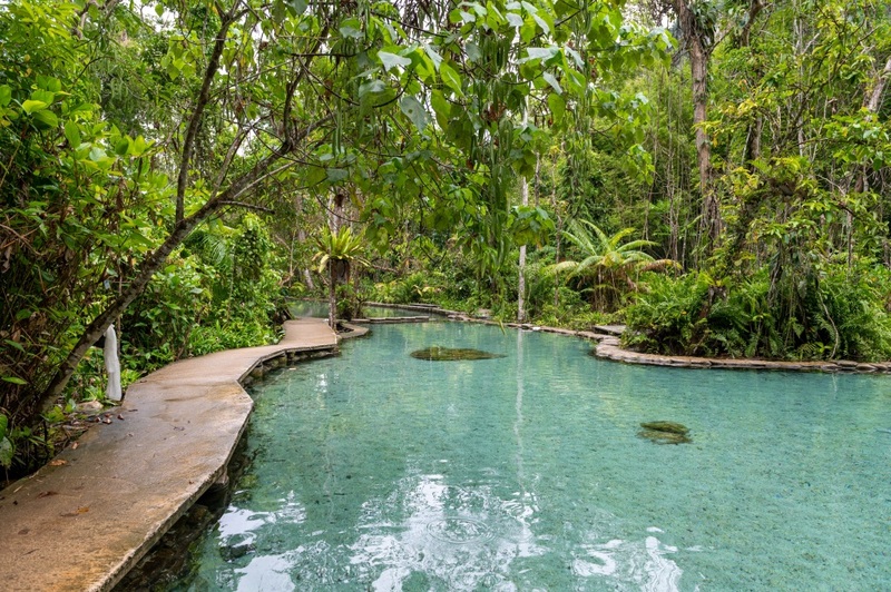 day & night, day & night cafe, day & night of surat thani, กุ้ยหลินเมืองไทย, คลองร้อยสาย, ตลาดน้ำประชารัฐบางใบไม้, ถ้ำขมิ้น, ทะเลแหวก, ทะเลแหวก สุราษฎร์ธานี, ที่เที่ยว สุราษฎร์ธานี, ที่เที่ยวสมุย, ที่เที่ยวสุราษฎร์, ที่เที่ยวสุราษฎร์ 2024, ที่เที่ยวสุราษฎร์ 2567, ที่เที่ยวสุราษฎร์ธานี 2024, ที่เที่ยวสุราษฎร์ธานี 2567, ที่เที่ยวสุราษฎร์ธานี ทะเล, ที่เที่ยวสุราษฎร์ธานี เกาะ, น้ำตกดาดฟ้า, น้ำตกหน้าเมือง, ป่าต้นน้ำบ้านน้ำราด, พระธาตุศิลางู, พระบรมธาตุไชยา, ราฮัม บีชคลับ, วัดพระธาตุศิลางู, วัดพระบรมธาตุไชยา, วัดพระบรมธาตุไชยาราชวรวิหาร, วัดพระใหญ่, วัดราชธรรมาราม, ศาลหลักเมืองสุราษฎร์ธานี, สมุย, สะพานแขวนเขาพัง, สะพานแขวนเขาเทพพิทักษ์, สุราษฎร์, สุราษฎร์ธานี 2023, หมู่เกาะอ่างทอง, หาดเฉวง, อ่างน้ำผุด, อ่างน้ำผุด บางสวรรค์, อุทยานธรรมเขานาในหลวง, อุทยานแห่งชาติหมู่เกาะอ่างทอง, อุทยานแห่งชาติใต้ร่มเย็น, อุโมงค์ต้นจาก คลองร้อยสาย, เกาะนางยวน, เกาะพะงัน, เกาะมัดสุ่ม, เกาะราฮัม, เกาะวัวตาหลับ, เกาะสมุย, เกาะหมู, เกาะหมู สมุย, เกาะเต่า, เกาะแตน, เกาะแม่เกาะ, เขารูปหัวใจ, เขื่อนรัชชประภา, เขื่อนเชี่ยวหลาน, เจดีย์ลอมฟ้าพุทธศิลาวดี, เที่ยวสุราษฎร์, เที่ยวสุราษฎร์ธานี, เนินทรายเหมืองแกะ, top 20+ ที่เที่ยว สุราษฎร์ธานี [กรกฎาคม 2024] ปาร์ตี้ฟูลมูนสุดเลิศ ทะเลใส แหล่งดำน้ำดูปะการังสวย