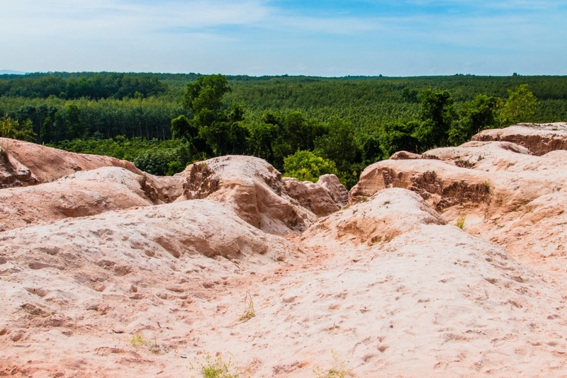 day & night, day & night cafe, day & night of surat thani, กุ้ยหลินเมืองไทย, คลองร้อยสาย, ตลาดน้ำประชารัฐบางใบไม้, ถ้ำขมิ้น, ทะเลแหวก, ทะเลแหวก สุราษฎร์ธานี, ที่เที่ยว สุราษฎร์ธานี, ที่เที่ยวสมุย, ที่เที่ยวสุราษฎร์, ที่เที่ยวสุราษฎร์ 2024, ที่เที่ยวสุราษฎร์ 2567, ที่เที่ยวสุราษฎร์ธานี 2024, ที่เที่ยวสุราษฎร์ธานี 2567, ที่เที่ยวสุราษฎร์ธานี ทะเล, ที่เที่ยวสุราษฎร์ธานี เกาะ, น้ำตกดาดฟ้า, น้ำตกหน้าเมือง, ป่าต้นน้ำบ้านน้ำราด, พระธาตุศิลางู, พระบรมธาตุไชยา, ราฮัม บีชคลับ, วัดพระธาตุศิลางู, วัดพระบรมธาตุไชยา, วัดพระบรมธาตุไชยาราชวรวิหาร, วัดพระใหญ่, วัดราชธรรมาราม, ศาลหลักเมืองสุราษฎร์ธานี, สมุย, สะพานแขวนเขาพัง, สะพานแขวนเขาเทพพิทักษ์, สุราษฎร์, สุราษฎร์ธานี 2023, หมู่เกาะอ่างทอง, หาดเฉวง, อ่างน้ำผุด, อ่างน้ำผุด บางสวรรค์, อุทยานธรรมเขานาในหลวง, อุทยานแห่งชาติหมู่เกาะอ่างทอง, อุทยานแห่งชาติใต้ร่มเย็น, อุโมงค์ต้นจาก คลองร้อยสาย, เกาะนางยวน, เกาะพะงัน, เกาะมัดสุ่ม, เกาะราฮัม, เกาะวัวตาหลับ, เกาะสมุย, เกาะหมู, เกาะหมู สมุย, เกาะเต่า, เกาะแตน, เกาะแม่เกาะ, เขารูปหัวใจ, เขื่อนรัชชประภา, เขื่อนเชี่ยวหลาน, เจดีย์ลอมฟ้าพุทธศิลาวดี, เที่ยวสุราษฎร์, เที่ยวสุราษฎร์ธานี, เนินทรายเหมืองแกะ, top 20+ ที่เที่ยว สุราษฎร์ธานี [กรกฎาคม 2024] ปาร์ตี้ฟูลมูนสุดเลิศ ทะเลใส แหล่งดำน้ำดูปะการังสวย