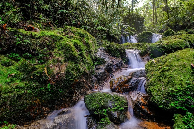day & night, day & night cafe, day & night of surat thani, กุ้ยหลินเมืองไทย, คลองร้อยสาย, ตลาดน้ำประชารัฐบางใบไม้, ถ้ำขมิ้น, ทะเลแหวก, ทะเลแหวก สุราษฎร์ธานี, ที่เที่ยว สุราษฎร์ธานี, ที่เที่ยวสมุย, ที่เที่ยวสุราษฎร์, ที่เที่ยวสุราษฎร์ 2024, ที่เที่ยวสุราษฎร์ 2567, ที่เที่ยวสุราษฎร์ธานี 2024, ที่เที่ยวสุราษฎร์ธานี 2567, ที่เที่ยวสุราษฎร์ธานี ทะเล, ที่เที่ยวสุราษฎร์ธานี เกาะ, น้ำตกดาดฟ้า, น้ำตกหน้าเมือง, ป่าต้นน้ำบ้านน้ำราด, พระธาตุศิลางู, พระบรมธาตุไชยา, ราฮัม บีชคลับ, วัดพระธาตุศิลางู, วัดพระบรมธาตุไชยา, วัดพระบรมธาตุไชยาราชวรวิหาร, วัดพระใหญ่, วัดราชธรรมาราม, ศาลหลักเมืองสุราษฎร์ธานี, สมุย, สะพานแขวนเขาพัง, สะพานแขวนเขาเทพพิทักษ์, สุราษฎร์, สุราษฎร์ธานี 2023, หมู่เกาะอ่างทอง, หาดเฉวง, อ่างน้ำผุด, อ่างน้ำผุด บางสวรรค์, อุทยานธรรมเขานาในหลวง, อุทยานแห่งชาติหมู่เกาะอ่างทอง, อุทยานแห่งชาติใต้ร่มเย็น, อุโมงค์ต้นจาก คลองร้อยสาย, เกาะนางยวน, เกาะพะงัน, เกาะมัดสุ่ม, เกาะราฮัม, เกาะวัวตาหลับ, เกาะสมุย, เกาะหมู, เกาะหมู สมุย, เกาะเต่า, เกาะแตน, เกาะแม่เกาะ, เขารูปหัวใจ, เขื่อนรัชชประภา, เขื่อนเชี่ยวหลาน, เจดีย์ลอมฟ้าพุทธศิลาวดี, เที่ยวสุราษฎร์, เที่ยวสุราษฎร์ธานี, เนินทรายเหมืองแกะ, top 20+ ที่เที่ยว สุราษฎร์ธานี [กรกฎาคม 2024] ปาร์ตี้ฟูลมูนสุดเลิศ ทะเลใส แหล่งดำน้ำดูปะการังสวย