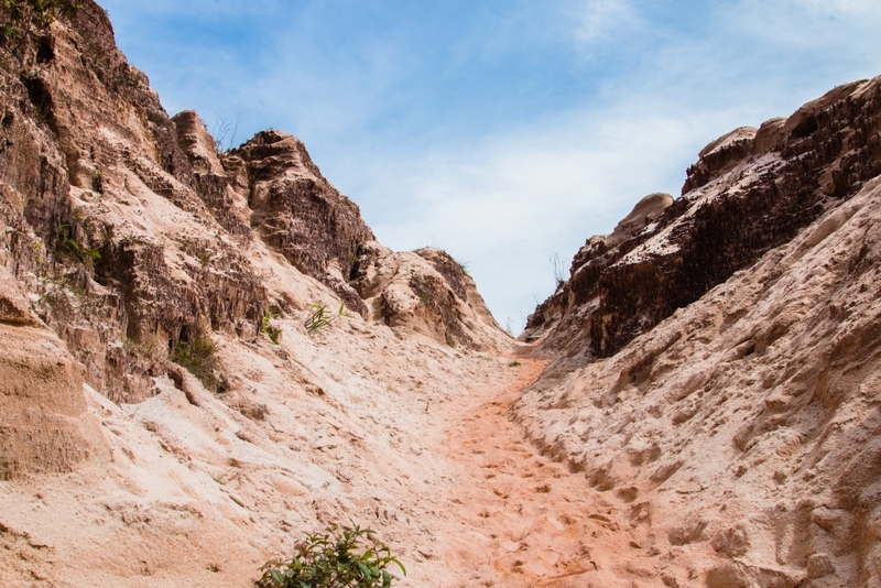 day & night, day & night cafe, day & night of surat thani, กุ้ยหลินเมืองไทย, คลองร้อยสาย, ตลาดน้ำประชารัฐบางใบไม้, ถ้ำขมิ้น, ทะเลแหวก, ทะเลแหวก สุราษฎร์ธานี, ที่เที่ยว สุราษฎร์ธานี, ที่เที่ยวสมุย, ที่เที่ยวสุราษฎร์, ที่เที่ยวสุราษฎร์ 2024, ที่เที่ยวสุราษฎร์ 2567, ที่เที่ยวสุราษฎร์ธานี 2024, ที่เที่ยวสุราษฎร์ธานี 2567, ที่เที่ยวสุราษฎร์ธานี ทะเล, ที่เที่ยวสุราษฎร์ธานี เกาะ, น้ำตกดาดฟ้า, น้ำตกหน้าเมือง, ป่าต้นน้ำบ้านน้ำราด, พระธาตุศิลางู, พระบรมธาตุไชยา, ราฮัม บีชคลับ, วัดพระธาตุศิลางู, วัดพระบรมธาตุไชยา, วัดพระบรมธาตุไชยาราชวรวิหาร, วัดพระใหญ่, วัดราชธรรมาราม, ศาลหลักเมืองสุราษฎร์ธานี, สมุย, สะพานแขวนเขาพัง, สะพานแขวนเขาเทพพิทักษ์, สุราษฎร์, สุราษฎร์ธานี 2023, หมู่เกาะอ่างทอง, หาดเฉวง, อ่างน้ำผุด, อ่างน้ำผุด บางสวรรค์, อุทยานธรรมเขานาในหลวง, อุทยานแห่งชาติหมู่เกาะอ่างทอง, อุทยานแห่งชาติใต้ร่มเย็น, อุโมงค์ต้นจาก คลองร้อยสาย, เกาะนางยวน, เกาะพะงัน, เกาะมัดสุ่ม, เกาะราฮัม, เกาะวัวตาหลับ, เกาะสมุย, เกาะหมู, เกาะหมู สมุย, เกาะเต่า, เกาะแตน, เกาะแม่เกาะ, เขารูปหัวใจ, เขื่อนรัชชประภา, เขื่อนเชี่ยวหลาน, เจดีย์ลอมฟ้าพุทธศิลาวดี, เที่ยวสุราษฎร์, เที่ยวสุราษฎร์ธานี, เนินทรายเหมืองแกะ, top 20+ ที่เที่ยว สุราษฎร์ธานี [กรกฎาคม 2024] ปาร์ตี้ฟูลมูนสุดเลิศ ทะเลใส แหล่งดำน้ำดูปะการังสวย