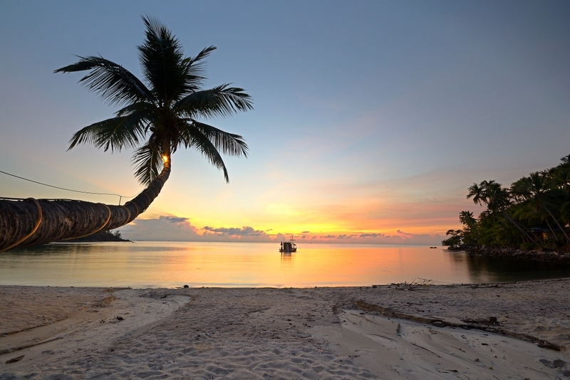 day & night, day & night cafe, day & night of surat thani, กุ้ยหลินเมืองไทย, คลองร้อยสาย, ตลาดน้ำประชารัฐบางใบไม้, ถ้ำขมิ้น, ทะเลแหวก, ทะเลแหวก สุราษฎร์ธานี, ที่เที่ยว สุราษฎร์ธานี, ที่เที่ยวสมุย, ที่เที่ยวสุราษฎร์, ที่เที่ยวสุราษฎร์ 2024, ที่เที่ยวสุราษฎร์ 2567, ที่เที่ยวสุราษฎร์ธานี 2024, ที่เที่ยวสุราษฎร์ธานี 2567, ที่เที่ยวสุราษฎร์ธานี ทะเล, ที่เที่ยวสุราษฎร์ธานี เกาะ, น้ำตกดาดฟ้า, น้ำตกหน้าเมือง, ป่าต้นน้ำบ้านน้ำราด, พระธาตุศิลางู, พระบรมธาตุไชยา, ราฮัม บีชคลับ, วัดพระธาตุศิลางู, วัดพระบรมธาตุไชยา, วัดพระบรมธาตุไชยาราชวรวิหาร, วัดพระใหญ่, วัดราชธรรมาราม, ศาลหลักเมืองสุราษฎร์ธานี, สมุย, สะพานแขวนเขาพัง, สะพานแขวนเขาเทพพิทักษ์, สุราษฎร์, สุราษฎร์ธานี 2023, หมู่เกาะอ่างทอง, หาดเฉวง, อ่างน้ำผุด, อ่างน้ำผุด บางสวรรค์, อุทยานธรรมเขานาในหลวง, อุทยานแห่งชาติหมู่เกาะอ่างทอง, อุทยานแห่งชาติใต้ร่มเย็น, อุโมงค์ต้นจาก คลองร้อยสาย, เกาะนางยวน, เกาะพะงัน, เกาะมัดสุ่ม, เกาะราฮัม, เกาะวัวตาหลับ, เกาะสมุย, เกาะหมู, เกาะหมู สมุย, เกาะเต่า, เกาะแตน, เกาะแม่เกาะ, เขารูปหัวใจ, เขื่อนรัชชประภา, เขื่อนเชี่ยวหลาน, เจดีย์ลอมฟ้าพุทธศิลาวดี, เที่ยวสุราษฎร์, เที่ยวสุราษฎร์ธานี, เนินทรายเหมืองแกะ, top 20+ ที่เที่ยว สุราษฎร์ธานี [กรกฎาคม 2024] ปาร์ตี้ฟูลมูนสุดเลิศ ทะเลใส แหล่งดำน้ำดูปะการังสวย