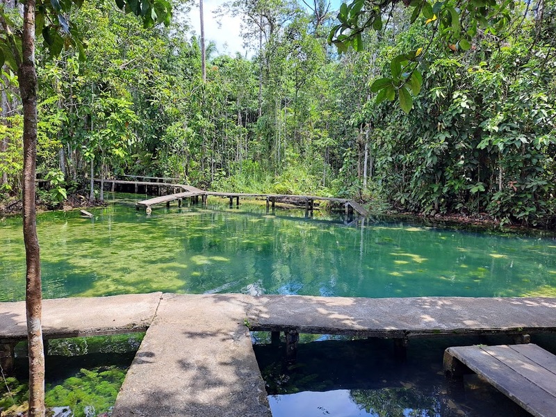 day & night, day & night cafe, day & night of surat thani, กุ้ยหลินเมืองไทย, คลองร้อยสาย, ตลาดน้ำประชารัฐบางใบไม้, ถ้ำขมิ้น, ทะเลแหวก, ทะเลแหวก สุราษฎร์ธานี, ที่เที่ยว สุราษฎร์ธานี, ที่เที่ยวสมุย, ที่เที่ยวสุราษฎร์, ที่เที่ยวสุราษฎร์ 2024, ที่เที่ยวสุราษฎร์ 2567, ที่เที่ยวสุราษฎร์ธานี 2024, ที่เที่ยวสุราษฎร์ธานี 2567, ที่เที่ยวสุราษฎร์ธานี ทะเล, ที่เที่ยวสุราษฎร์ธานี เกาะ, น้ำตกดาดฟ้า, น้ำตกหน้าเมือง, ป่าต้นน้ำบ้านน้ำราด, พระธาตุศิลางู, พระบรมธาตุไชยา, ราฮัม บีชคลับ, วัดพระธาตุศิลางู, วัดพระบรมธาตุไชยา, วัดพระบรมธาตุไชยาราชวรวิหาร, วัดพระใหญ่, วัดราชธรรมาราม, ศาลหลักเมืองสุราษฎร์ธานี, สมุย, สะพานแขวนเขาพัง, สะพานแขวนเขาเทพพิทักษ์, สุราษฎร์, สุราษฎร์ธานี 2023, หมู่เกาะอ่างทอง, หาดเฉวง, อ่างน้ำผุด, อ่างน้ำผุด บางสวรรค์, อุทยานธรรมเขานาในหลวง, อุทยานแห่งชาติหมู่เกาะอ่างทอง, อุทยานแห่งชาติใต้ร่มเย็น, อุโมงค์ต้นจาก คลองร้อยสาย, เกาะนางยวน, เกาะพะงัน, เกาะมัดสุ่ม, เกาะราฮัม, เกาะวัวตาหลับ, เกาะสมุย, เกาะหมู, เกาะหมู สมุย, เกาะเต่า, เกาะแตน, เกาะแม่เกาะ, เขารูปหัวใจ, เขื่อนรัชชประภา, เขื่อนเชี่ยวหลาน, เจดีย์ลอมฟ้าพุทธศิลาวดี, เที่ยวสุราษฎร์, เที่ยวสุราษฎร์ธานี, เนินทรายเหมืองแกะ, top 20+ ที่เที่ยว สุราษฎร์ธานี [กรกฎาคม 2024] ปาร์ตี้ฟูลมูนสุดเลิศ ทะเลใส แหล่งดำน้ำดูปะการังสวย