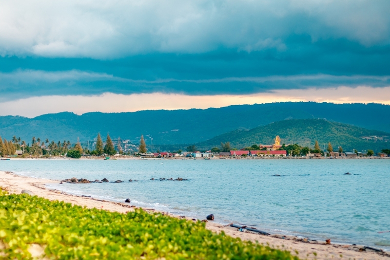 day & night, day & night cafe, day & night of surat thani, กุ้ยหลินเมืองไทย, คลองร้อยสาย, ตลาดน้ำประชารัฐบางใบไม้, ถ้ำขมิ้น, ทะเลแหวก, ทะเลแหวก สุราษฎร์ธานี, ที่เที่ยว สุราษฎร์ธานี, ที่เที่ยวสมุย, ที่เที่ยวสุราษฎร์, ที่เที่ยวสุราษฎร์ 2024, ที่เที่ยวสุราษฎร์ 2567, ที่เที่ยวสุราษฎร์ธานี 2024, ที่เที่ยวสุราษฎร์ธานี 2567, ที่เที่ยวสุราษฎร์ธานี ทะเล, ที่เที่ยวสุราษฎร์ธานี เกาะ, น้ำตกดาดฟ้า, น้ำตกหน้าเมือง, ป่าต้นน้ำบ้านน้ำราด, พระธาตุศิลางู, พระบรมธาตุไชยา, ราฮัม บีชคลับ, วัดพระธาตุศิลางู, วัดพระบรมธาตุไชยา, วัดพระบรมธาตุไชยาราชวรวิหาร, วัดพระใหญ่, วัดราชธรรมาราม, ศาลหลักเมืองสุราษฎร์ธานี, สมุย, สะพานแขวนเขาพัง, สะพานแขวนเขาเทพพิทักษ์, สุราษฎร์, สุราษฎร์ธานี 2023, หมู่เกาะอ่างทอง, หาดเฉวง, อ่างน้ำผุด, อ่างน้ำผุด บางสวรรค์, อุทยานธรรมเขานาในหลวง, อุทยานแห่งชาติหมู่เกาะอ่างทอง, อุทยานแห่งชาติใต้ร่มเย็น, อุโมงค์ต้นจาก คลองร้อยสาย, เกาะนางยวน, เกาะพะงัน, เกาะมัดสุ่ม, เกาะราฮัม, เกาะวัวตาหลับ, เกาะสมุย, เกาะหมู, เกาะหมู สมุย, เกาะเต่า, เกาะแตน, เกาะแม่เกาะ, เขารูปหัวใจ, เขื่อนรัชชประภา, เขื่อนเชี่ยวหลาน, เจดีย์ลอมฟ้าพุทธศิลาวดี, เที่ยวสุราษฎร์, เที่ยวสุราษฎร์ธานี, เนินทรายเหมืองแกะ, top 20+ ที่เที่ยว สุราษฎร์ธานี [กรกฎาคม 2024] ปาร์ตี้ฟูลมูนสุดเลิศ ทะเลใส แหล่งดำน้ำดูปะการังสวย