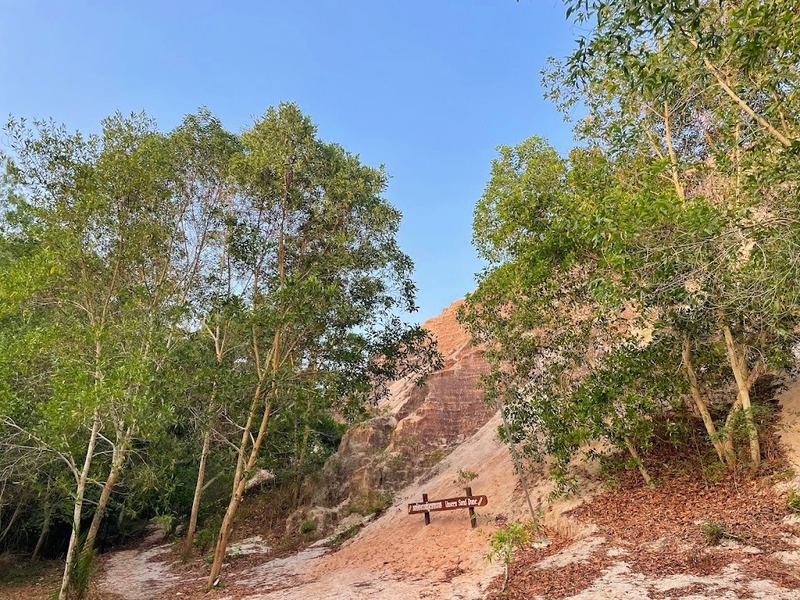 day & night, day & night cafe, day & night of surat thani, กุ้ยหลินเมืองไทย, คลองร้อยสาย, ตลาดน้ำประชารัฐบางใบไม้, ถ้ำขมิ้น, ทะเลแหวก, ทะเลแหวก สุราษฎร์ธานี, ที่เที่ยว สุราษฎร์ธานี, ที่เที่ยวสมุย, ที่เที่ยวสุราษฎร์, ที่เที่ยวสุราษฎร์ 2024, ที่เที่ยวสุราษฎร์ 2567, ที่เที่ยวสุราษฎร์ธานี 2024, ที่เที่ยวสุราษฎร์ธานี 2567, ที่เที่ยวสุราษฎร์ธานี ทะเล, ที่เที่ยวสุราษฎร์ธานี เกาะ, น้ำตกดาดฟ้า, น้ำตกหน้าเมือง, ป่าต้นน้ำบ้านน้ำราด, พระธาตุศิลางู, พระบรมธาตุไชยา, ราฮัม บีชคลับ, วัดพระธาตุศิลางู, วัดพระบรมธาตุไชยา, วัดพระบรมธาตุไชยาราชวรวิหาร, วัดพระใหญ่, วัดราชธรรมาราม, ศาลหลักเมืองสุราษฎร์ธานี, สมุย, สะพานแขวนเขาพัง, สะพานแขวนเขาเทพพิทักษ์, สุราษฎร์, สุราษฎร์ธานี 2023, หมู่เกาะอ่างทอง, หาดเฉวง, อ่างน้ำผุด, อ่างน้ำผุด บางสวรรค์, อุทยานธรรมเขานาในหลวง, อุทยานแห่งชาติหมู่เกาะอ่างทอง, อุทยานแห่งชาติใต้ร่มเย็น, อุโมงค์ต้นจาก คลองร้อยสาย, เกาะนางยวน, เกาะพะงัน, เกาะมัดสุ่ม, เกาะราฮัม, เกาะวัวตาหลับ, เกาะสมุย, เกาะหมู, เกาะหมู สมุย, เกาะเต่า, เกาะแตน, เกาะแม่เกาะ, เขารูปหัวใจ, เขื่อนรัชชประภา, เขื่อนเชี่ยวหลาน, เจดีย์ลอมฟ้าพุทธศิลาวดี, เที่ยวสุราษฎร์, เที่ยวสุราษฎร์ธานี, เนินทรายเหมืองแกะ, top 20+ ที่เที่ยว สุราษฎร์ธานี [กรกฎาคม 2024] ปาร์ตี้ฟูลมูนสุดเลิศ ทะเลใส แหล่งดำน้ำดูปะการังสวย