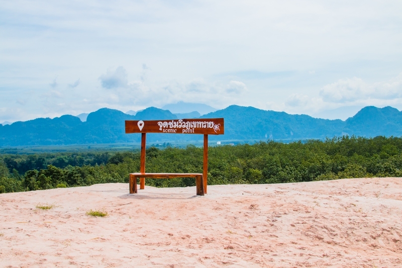 day & night, day & night cafe, day & night of surat thani, กุ้ยหลินเมืองไทย, คลองร้อยสาย, ตลาดน้ำประชารัฐบางใบไม้, ถ้ำขมิ้น, ทะเลแหวก, ทะเลแหวก สุราษฎร์ธานี, ที่เที่ยว สุราษฎร์ธานี, ที่เที่ยวสมุย, ที่เที่ยวสุราษฎร์, ที่เที่ยวสุราษฎร์ 2024, ที่เที่ยวสุราษฎร์ 2567, ที่เที่ยวสุราษฎร์ธานี 2024, ที่เที่ยวสุราษฎร์ธานี 2567, ที่เที่ยวสุราษฎร์ธานี ทะเล, ที่เที่ยวสุราษฎร์ธานี เกาะ, น้ำตกดาดฟ้า, น้ำตกหน้าเมือง, ป่าต้นน้ำบ้านน้ำราด, พระธาตุศิลางู, พระบรมธาตุไชยา, ราฮัม บีชคลับ, วัดพระธาตุศิลางู, วัดพระบรมธาตุไชยา, วัดพระบรมธาตุไชยาราชวรวิหาร, วัดพระใหญ่, วัดราชธรรมาราม, ศาลหลักเมืองสุราษฎร์ธานี, สมุย, สะพานแขวนเขาพัง, สะพานแขวนเขาเทพพิทักษ์, สุราษฎร์, สุราษฎร์ธานี 2023, หมู่เกาะอ่างทอง, หาดเฉวง, อ่างน้ำผุด, อ่างน้ำผุด บางสวรรค์, อุทยานธรรมเขานาในหลวง, อุทยานแห่งชาติหมู่เกาะอ่างทอง, อุทยานแห่งชาติใต้ร่มเย็น, อุโมงค์ต้นจาก คลองร้อยสาย, เกาะนางยวน, เกาะพะงัน, เกาะมัดสุ่ม, เกาะราฮัม, เกาะวัวตาหลับ, เกาะสมุย, เกาะหมู, เกาะหมู สมุย, เกาะเต่า, เกาะแตน, เกาะแม่เกาะ, เขารูปหัวใจ, เขื่อนรัชชประภา, เขื่อนเชี่ยวหลาน, เจดีย์ลอมฟ้าพุทธศิลาวดี, เที่ยวสุราษฎร์, เที่ยวสุราษฎร์ธานี, เนินทรายเหมืองแกะ, top 20+ ที่เที่ยว สุราษฎร์ธานี [กรกฎาคม 2024] ปาร์ตี้ฟูลมูนสุดเลิศ ทะเลใส แหล่งดำน้ำดูปะการังสวย