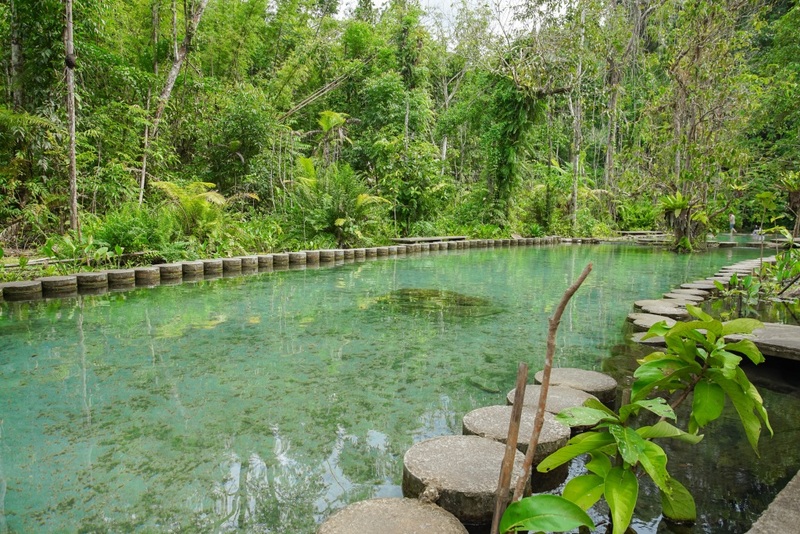 day & night, day & night cafe, day & night of surat thani, กุ้ยหลินเมืองไทย, คลองร้อยสาย, ตลาดน้ำประชารัฐบางใบไม้, ถ้ำขมิ้น, ทะเลแหวก, ทะเลแหวก สุราษฎร์ธานี, ที่เที่ยว สุราษฎร์ธานี, ที่เที่ยวสมุย, ที่เที่ยวสุราษฎร์, ที่เที่ยวสุราษฎร์ 2024, ที่เที่ยวสุราษฎร์ 2567, ที่เที่ยวสุราษฎร์ธานี 2024, ที่เที่ยวสุราษฎร์ธานี 2567, ที่เที่ยวสุราษฎร์ธานี ทะเล, ที่เที่ยวสุราษฎร์ธานี เกาะ, น้ำตกดาดฟ้า, น้ำตกหน้าเมือง, ป่าต้นน้ำบ้านน้ำราด, พระธาตุศิลางู, พระบรมธาตุไชยา, ราฮัม บีชคลับ, วัดพระธาตุศิลางู, วัดพระบรมธาตุไชยา, วัดพระบรมธาตุไชยาราชวรวิหาร, วัดพระใหญ่, วัดราชธรรมาราม, ศาลหลักเมืองสุราษฎร์ธานี, สมุย, สะพานแขวนเขาพัง, สะพานแขวนเขาเทพพิทักษ์, สุราษฎร์, สุราษฎร์ธานี 2023, หมู่เกาะอ่างทอง, หาดเฉวง, อ่างน้ำผุด, อ่างน้ำผุด บางสวรรค์, อุทยานธรรมเขานาในหลวง, อุทยานแห่งชาติหมู่เกาะอ่างทอง, อุทยานแห่งชาติใต้ร่มเย็น, อุโมงค์ต้นจาก คลองร้อยสาย, เกาะนางยวน, เกาะพะงัน, เกาะมัดสุ่ม, เกาะราฮัม, เกาะวัวตาหลับ, เกาะสมุย, เกาะหมู, เกาะหมู สมุย, เกาะเต่า, เกาะแตน, เกาะแม่เกาะ, เขารูปหัวใจ, เขื่อนรัชชประภา, เขื่อนเชี่ยวหลาน, เจดีย์ลอมฟ้าพุทธศิลาวดี, เที่ยวสุราษฎร์, เที่ยวสุราษฎร์ธานี, เนินทรายเหมืองแกะ, top 20+ ที่เที่ยว สุราษฎร์ธานี [กรกฎาคม 2024] ปาร์ตี้ฟูลมูนสุดเลิศ ทะเลใส แหล่งดำน้ำดูปะการังสวย