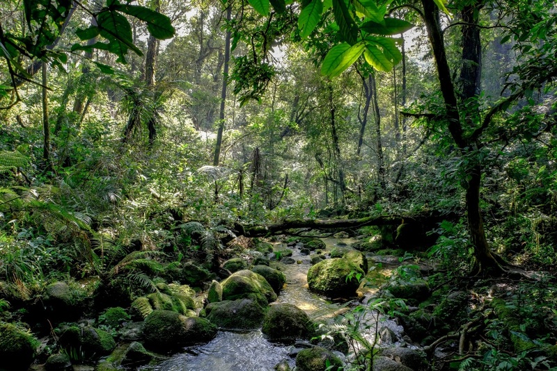 day & night, day & night cafe, day & night of surat thani, กุ้ยหลินเมืองไทย, คลองร้อยสาย, ตลาดน้ำประชารัฐบางใบไม้, ถ้ำขมิ้น, ทะเลแหวก, ทะเลแหวก สุราษฎร์ธานี, ที่เที่ยว สุราษฎร์ธานี, ที่เที่ยวสมุย, ที่เที่ยวสุราษฎร์, ที่เที่ยวสุราษฎร์ 2024, ที่เที่ยวสุราษฎร์ 2567, ที่เที่ยวสุราษฎร์ธานี 2024, ที่เที่ยวสุราษฎร์ธานี 2567, ที่เที่ยวสุราษฎร์ธานี ทะเล, ที่เที่ยวสุราษฎร์ธานี เกาะ, น้ำตกดาดฟ้า, น้ำตกหน้าเมือง, ป่าต้นน้ำบ้านน้ำราด, พระธาตุศิลางู, พระบรมธาตุไชยา, ราฮัม บีชคลับ, วัดพระธาตุศิลางู, วัดพระบรมธาตุไชยา, วัดพระบรมธาตุไชยาราชวรวิหาร, วัดพระใหญ่, วัดราชธรรมาราม, ศาลหลักเมืองสุราษฎร์ธานี, สมุย, สะพานแขวนเขาพัง, สะพานแขวนเขาเทพพิทักษ์, สุราษฎร์, สุราษฎร์ธานี 2023, หมู่เกาะอ่างทอง, หาดเฉวง, อ่างน้ำผุด, อ่างน้ำผุด บางสวรรค์, อุทยานธรรมเขานาในหลวง, อุทยานแห่งชาติหมู่เกาะอ่างทอง, อุทยานแห่งชาติใต้ร่มเย็น, อุโมงค์ต้นจาก คลองร้อยสาย, เกาะนางยวน, เกาะพะงัน, เกาะมัดสุ่ม, เกาะราฮัม, เกาะวัวตาหลับ, เกาะสมุย, เกาะหมู, เกาะหมู สมุย, เกาะเต่า, เกาะแตน, เกาะแม่เกาะ, เขารูปหัวใจ, เขื่อนรัชชประภา, เขื่อนเชี่ยวหลาน, เจดีย์ลอมฟ้าพุทธศิลาวดี, เที่ยวสุราษฎร์, เที่ยวสุราษฎร์ธานี, เนินทรายเหมืองแกะ, top 20+ ที่เที่ยว สุราษฎร์ธานี [กรกฎาคม 2024] ปาร์ตี้ฟูลมูนสุดเลิศ ทะเลใส แหล่งดำน้ำดูปะการังสวย