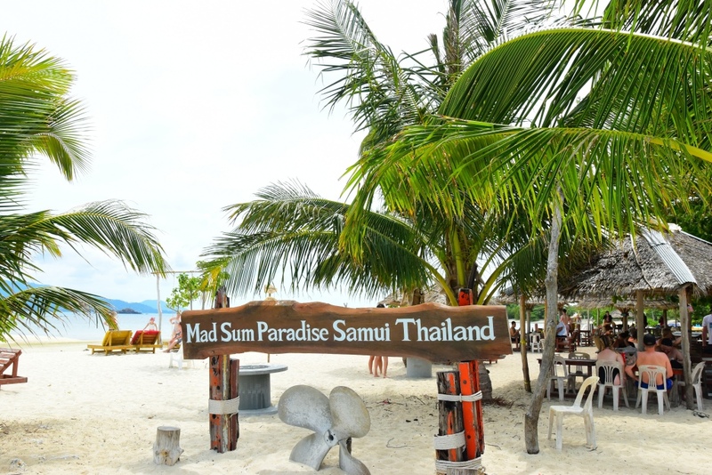 day & night, day & night cafe, day & night of surat thani, กุ้ยหลินเมืองไทย, คลองร้อยสาย, ตลาดน้ำประชารัฐบางใบไม้, ถ้ำขมิ้น, ทะเลแหวก, ทะเลแหวก สุราษฎร์ธานี, ที่เที่ยว สุราษฎร์ธานี, ที่เที่ยวสมุย, ที่เที่ยวสุราษฎร์, ที่เที่ยวสุราษฎร์ 2024, ที่เที่ยวสุราษฎร์ 2567, ที่เที่ยวสุราษฎร์ธานี 2024, ที่เที่ยวสุราษฎร์ธานี 2567, ที่เที่ยวสุราษฎร์ธานี ทะเล, ที่เที่ยวสุราษฎร์ธานี เกาะ, น้ำตกดาดฟ้า, น้ำตกหน้าเมือง, ป่าต้นน้ำบ้านน้ำราด, พระธาตุศิลางู, พระบรมธาตุไชยา, ราฮัม บีชคลับ, วัดพระธาตุศิลางู, วัดพระบรมธาตุไชยา, วัดพระบรมธาตุไชยาราชวรวิหาร, วัดพระใหญ่, วัดราชธรรมาราม, ศาลหลักเมืองสุราษฎร์ธานี, สมุย, สะพานแขวนเขาพัง, สะพานแขวนเขาเทพพิทักษ์, สุราษฎร์, สุราษฎร์ธานี 2023, หมู่เกาะอ่างทอง, หาดเฉวง, อ่างน้ำผุด, อ่างน้ำผุด บางสวรรค์, อุทยานธรรมเขานาในหลวง, อุทยานแห่งชาติหมู่เกาะอ่างทอง, อุทยานแห่งชาติใต้ร่มเย็น, อุโมงค์ต้นจาก คลองร้อยสาย, เกาะนางยวน, เกาะพะงัน, เกาะมัดสุ่ม, เกาะราฮัม, เกาะวัวตาหลับ, เกาะสมุย, เกาะหมู, เกาะหมู สมุย, เกาะเต่า, เกาะแตน, เกาะแม่เกาะ, เขารูปหัวใจ, เขื่อนรัชชประภา, เขื่อนเชี่ยวหลาน, เจดีย์ลอมฟ้าพุทธศิลาวดี, เที่ยวสุราษฎร์, เที่ยวสุราษฎร์ธานี, เนินทรายเหมืองแกะ, top 20+ ที่เที่ยว สุราษฎร์ธานี [กรกฎาคม 2024] ปาร์ตี้ฟูลมูนสุดเลิศ ทะเลใส แหล่งดำน้ำดูปะการังสวย