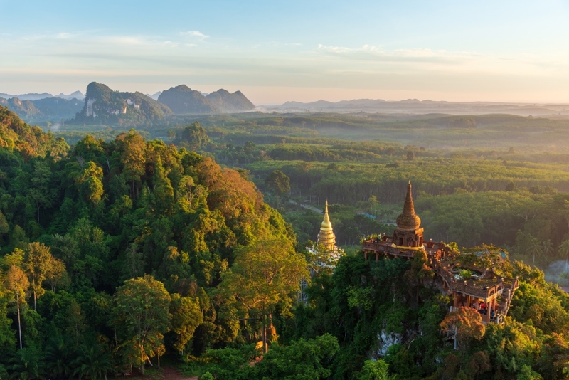 day & night, day & night cafe, day & night of surat thani, กุ้ยหลินเมืองไทย, คลองร้อยสาย, ตลาดน้ำประชารัฐบางใบไม้, ถ้ำขมิ้น, ทะเลแหวก, ทะเลแหวก สุราษฎร์ธานี, ที่เที่ยว สุราษฎร์ธานี, ที่เที่ยวสมุย, ที่เที่ยวสุราษฎร์, ที่เที่ยวสุราษฎร์ 2024, ที่เที่ยวสุราษฎร์ 2567, ที่เที่ยวสุราษฎร์ธานี 2024, ที่เที่ยวสุราษฎร์ธานี 2567, ที่เที่ยวสุราษฎร์ธานี ทะเล, ที่เที่ยวสุราษฎร์ธานี เกาะ, น้ำตกดาดฟ้า, น้ำตกหน้าเมือง, ป่าต้นน้ำบ้านน้ำราด, พระธาตุศิลางู, พระบรมธาตุไชยา, ราฮัม บีชคลับ, วัดพระธาตุศิลางู, วัดพระบรมธาตุไชยา, วัดพระบรมธาตุไชยาราชวรวิหาร, วัดพระใหญ่, วัดราชธรรมาราม, ศาลหลักเมืองสุราษฎร์ธานี, สมุย, สะพานแขวนเขาพัง, สะพานแขวนเขาเทพพิทักษ์, สุราษฎร์, สุราษฎร์ธานี 2023, หมู่เกาะอ่างทอง, หาดเฉวง, อ่างน้ำผุด, อ่างน้ำผุด บางสวรรค์, อุทยานธรรมเขานาในหลวง, อุทยานแห่งชาติหมู่เกาะอ่างทอง, อุทยานแห่งชาติใต้ร่มเย็น, อุโมงค์ต้นจาก คลองร้อยสาย, เกาะนางยวน, เกาะพะงัน, เกาะมัดสุ่ม, เกาะราฮัม, เกาะวัวตาหลับ, เกาะสมุย, เกาะหมู, เกาะหมู สมุย, เกาะเต่า, เกาะแตน, เกาะแม่เกาะ, เขารูปหัวใจ, เขื่อนรัชชประภา, เขื่อนเชี่ยวหลาน, เจดีย์ลอมฟ้าพุทธศิลาวดี, เที่ยวสุราษฎร์, เที่ยวสุราษฎร์ธานี, เนินทรายเหมืองแกะ, top 20+ ที่เที่ยว สุราษฎร์ธานี [กรกฎาคม 2024] ปาร์ตี้ฟูลมูนสุดเลิศ ทะเลใส แหล่งดำน้ำดูปะการังสวย