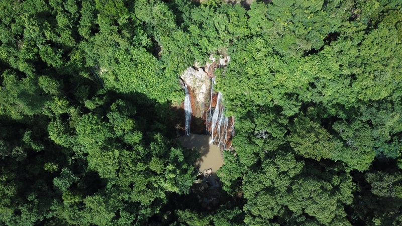 day & night, day & night cafe, day & night of surat thani, กุ้ยหลินเมืองไทย, คลองร้อยสาย, ตลาดน้ำประชารัฐบางใบไม้, ถ้ำขมิ้น, ทะเลแหวก, ทะเลแหวก สุราษฎร์ธานี, ที่เที่ยว สุราษฎร์ธานี, ที่เที่ยวสมุย, ที่เที่ยวสุราษฎร์, ที่เที่ยวสุราษฎร์ 2024, ที่เที่ยวสุราษฎร์ 2567, ที่เที่ยวสุราษฎร์ธานี 2024, ที่เที่ยวสุราษฎร์ธานี 2567, ที่เที่ยวสุราษฎร์ธานี ทะเล, ที่เที่ยวสุราษฎร์ธานี เกาะ, น้ำตกดาดฟ้า, น้ำตกหน้าเมือง, ป่าต้นน้ำบ้านน้ำราด, พระธาตุศิลางู, พระบรมธาตุไชยา, ราฮัม บีชคลับ, วัดพระธาตุศิลางู, วัดพระบรมธาตุไชยา, วัดพระบรมธาตุไชยาราชวรวิหาร, วัดพระใหญ่, วัดราชธรรมาราม, ศาลหลักเมืองสุราษฎร์ธานี, สมุย, สะพานแขวนเขาพัง, สะพานแขวนเขาเทพพิทักษ์, สุราษฎร์, สุราษฎร์ธานี 2023, หมู่เกาะอ่างทอง, หาดเฉวง, อ่างน้ำผุด, อ่างน้ำผุด บางสวรรค์, อุทยานธรรมเขานาในหลวง, อุทยานแห่งชาติหมู่เกาะอ่างทอง, อุทยานแห่งชาติใต้ร่มเย็น, อุโมงค์ต้นจาก คลองร้อยสาย, เกาะนางยวน, เกาะพะงัน, เกาะมัดสุ่ม, เกาะราฮัม, เกาะวัวตาหลับ, เกาะสมุย, เกาะหมู, เกาะหมู สมุย, เกาะเต่า, เกาะแตน, เกาะแม่เกาะ, เขารูปหัวใจ, เขื่อนรัชชประภา, เขื่อนเชี่ยวหลาน, เจดีย์ลอมฟ้าพุทธศิลาวดี, เที่ยวสุราษฎร์, เที่ยวสุราษฎร์ธานี, เนินทรายเหมืองแกะ, top 20+ ที่เที่ยว สุราษฎร์ธานี [กรกฎาคม 2024] ปาร์ตี้ฟูลมูนสุดเลิศ ทะเลใส แหล่งดำน้ำดูปะการังสวย
