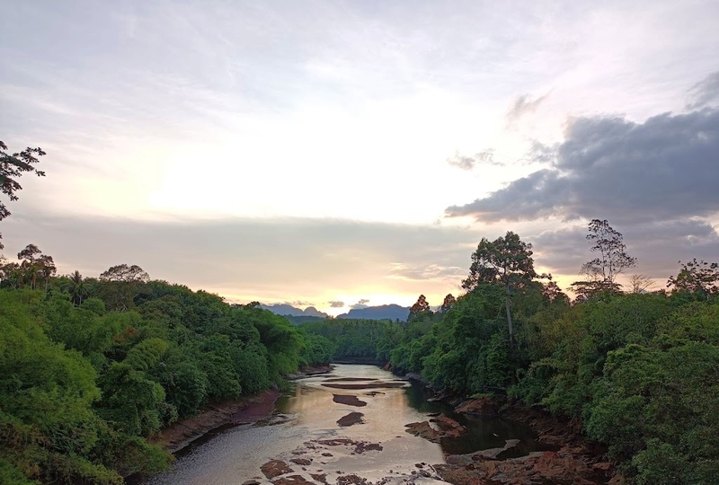 day & night, day & night cafe, day & night of surat thani, กุ้ยหลินเมืองไทย, คลองร้อยสาย, ตลาดน้ำประชารัฐบางใบไม้, ถ้ำขมิ้น, ทะเลแหวก, ทะเลแหวก สุราษฎร์ธานี, ที่เที่ยว สุราษฎร์ธานี, ที่เที่ยวสมุย, ที่เที่ยวสุราษฎร์, ที่เที่ยวสุราษฎร์ 2024, ที่เที่ยวสุราษฎร์ 2567, ที่เที่ยวสุราษฎร์ธานี 2024, ที่เที่ยวสุราษฎร์ธานี 2567, ที่เที่ยวสุราษฎร์ธานี ทะเล, ที่เที่ยวสุราษฎร์ธานี เกาะ, น้ำตกดาดฟ้า, น้ำตกหน้าเมือง, ป่าต้นน้ำบ้านน้ำราด, พระธาตุศิลางู, พระบรมธาตุไชยา, ราฮัม บีชคลับ, วัดพระธาตุศิลางู, วัดพระบรมธาตุไชยา, วัดพระบรมธาตุไชยาราชวรวิหาร, วัดพระใหญ่, วัดราชธรรมาราม, ศาลหลักเมืองสุราษฎร์ธานี, สมุย, สะพานแขวนเขาพัง, สะพานแขวนเขาเทพพิทักษ์, สุราษฎร์, สุราษฎร์ธานี 2023, หมู่เกาะอ่างทอง, หาดเฉวง, อ่างน้ำผุด, อ่างน้ำผุด บางสวรรค์, อุทยานธรรมเขานาในหลวง, อุทยานแห่งชาติหมู่เกาะอ่างทอง, อุทยานแห่งชาติใต้ร่มเย็น, อุโมงค์ต้นจาก คลองร้อยสาย, เกาะนางยวน, เกาะพะงัน, เกาะมัดสุ่ม, เกาะราฮัม, เกาะวัวตาหลับ, เกาะสมุย, เกาะหมู, เกาะหมู สมุย, เกาะเต่า, เกาะแตน, เกาะแม่เกาะ, เขารูปหัวใจ, เขื่อนรัชชประภา, เขื่อนเชี่ยวหลาน, เจดีย์ลอมฟ้าพุทธศิลาวดี, เที่ยวสุราษฎร์, เที่ยวสุราษฎร์ธานี, เนินทรายเหมืองแกะ, top 20+ ที่เที่ยว สุราษฎร์ธานี [กรกฎาคม 2024] ปาร์ตี้ฟูลมูนสุดเลิศ ทะเลใส แหล่งดำน้ำดูปะการังสวย