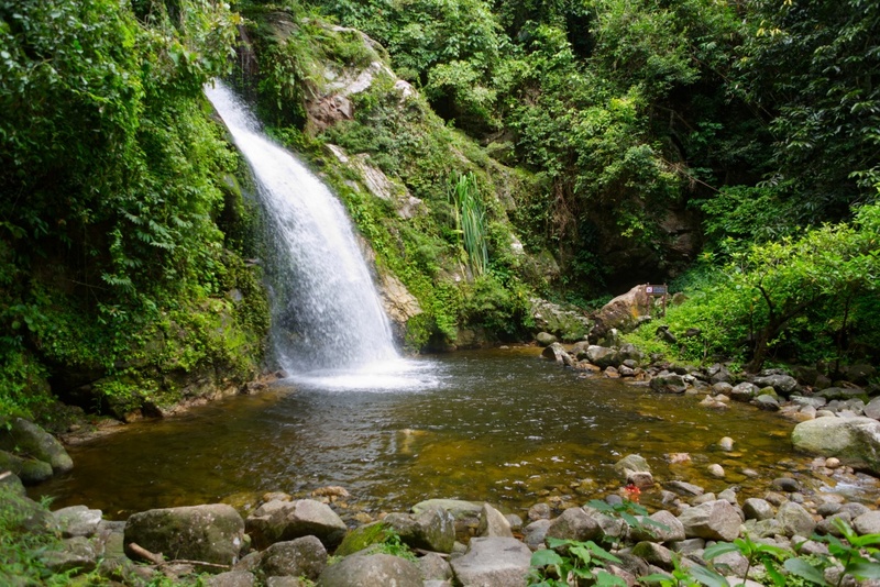 day & night, day & night cafe, day & night of surat thani, กุ้ยหลินเมืองไทย, คลองร้อยสาย, ตลาดน้ำประชารัฐบางใบไม้, ถ้ำขมิ้น, ทะเลแหวก, ทะเลแหวก สุราษฎร์ธานี, ที่เที่ยว สุราษฎร์ธานี, ที่เที่ยวสมุย, ที่เที่ยวสุราษฎร์, ที่เที่ยวสุราษฎร์ 2024, ที่เที่ยวสุราษฎร์ 2567, ที่เที่ยวสุราษฎร์ธานี 2024, ที่เที่ยวสุราษฎร์ธานี 2567, ที่เที่ยวสุราษฎร์ธานี ทะเล, ที่เที่ยวสุราษฎร์ธานี เกาะ, น้ำตกดาดฟ้า, น้ำตกหน้าเมือง, ป่าต้นน้ำบ้านน้ำราด, พระธาตุศิลางู, พระบรมธาตุไชยา, ราฮัม บีชคลับ, วัดพระธาตุศิลางู, วัดพระบรมธาตุไชยา, วัดพระบรมธาตุไชยาราชวรวิหาร, วัดพระใหญ่, วัดราชธรรมาราม, ศาลหลักเมืองสุราษฎร์ธานี, สมุย, สะพานแขวนเขาพัง, สะพานแขวนเขาเทพพิทักษ์, สุราษฎร์, สุราษฎร์ธานี 2023, หมู่เกาะอ่างทอง, หาดเฉวง, อ่างน้ำผุด, อ่างน้ำผุด บางสวรรค์, อุทยานธรรมเขานาในหลวง, อุทยานแห่งชาติหมู่เกาะอ่างทอง, อุทยานแห่งชาติใต้ร่มเย็น, อุโมงค์ต้นจาก คลองร้อยสาย, เกาะนางยวน, เกาะพะงัน, เกาะมัดสุ่ม, เกาะราฮัม, เกาะวัวตาหลับ, เกาะสมุย, เกาะหมู, เกาะหมู สมุย, เกาะเต่า, เกาะแตน, เกาะแม่เกาะ, เขารูปหัวใจ, เขื่อนรัชชประภา, เขื่อนเชี่ยวหลาน, เจดีย์ลอมฟ้าพุทธศิลาวดี, เที่ยวสุราษฎร์, เที่ยวสุราษฎร์ธานี, เนินทรายเหมืองแกะ, top 20+ ที่เที่ยว สุราษฎร์ธานี [กรกฎาคม 2024] ปาร์ตี้ฟูลมูนสุดเลิศ ทะเลใส แหล่งดำน้ำดูปะการังสวย