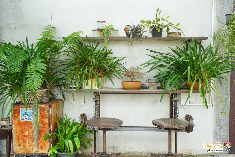 คาเฟ่บางสะพาน, cafe&039; fishery บางสะพาน, คาเฟ่ ฟิชเชอรี, cafe’ fishery  คาเฟ่สไตล์อินดัสเตรียลสุดเท่ แห่งบางสะพานน้อย