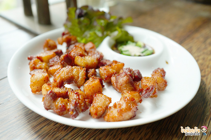 คาเฟ่บางสะพาน, cafe&039; fishery บางสะพาน, คาเฟ่ ฟิชเชอรี, cafe’ fishery  คาเฟ่สไตล์อินดัสเตรียลสุดเท่ แห่งบางสะพานน้อย