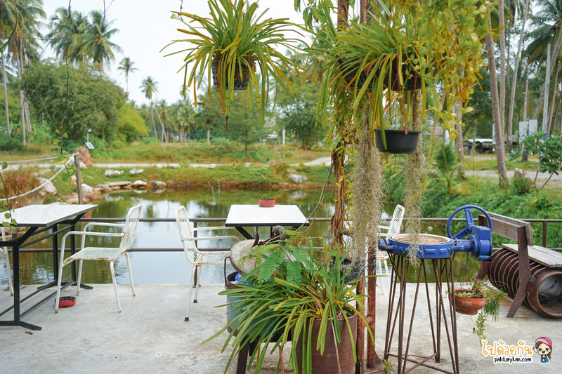 คาเฟ่บางสะพาน, cafe&039; fishery บางสะพาน, คาเฟ่ ฟิชเชอรี, cafe’ fishery  คาเฟ่สไตล์อินดัสเตรียลสุดเท่ แห่งบางสะพานน้อย