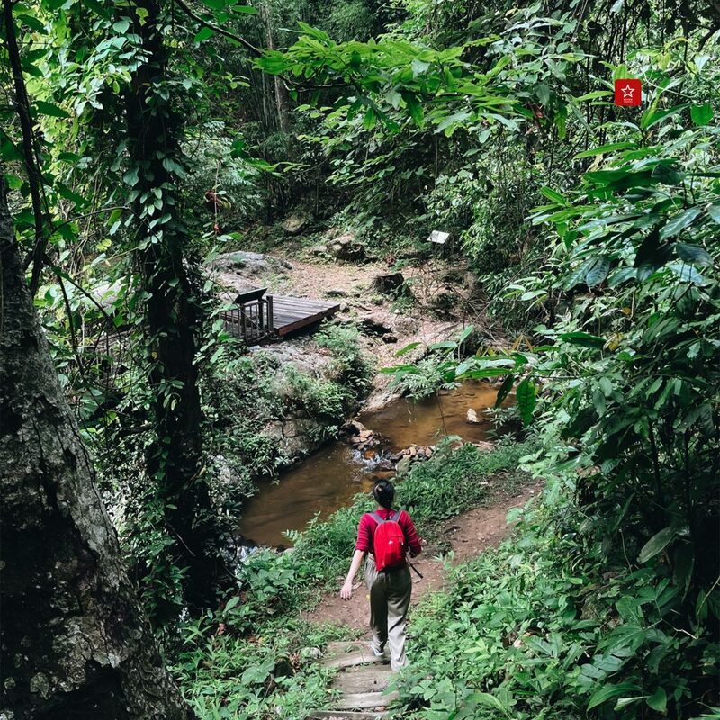 chiangmaihiking, dtac, onedaytrip, reviewchiangmai, true, truexdtac5gที่ดีกว่า, truexdtacbettertogether, ชีวิตดีกว่าเมื่อมีกันและกัน, น้ำตกมณฑาธาร, รีวิวเชียงใหม่, เชียงใหม่ไลฟ์สไตล์, เดินป่าเชียงใหม่, น้ำตกมณฑาธาร เดินป่าหน้าฝน ต้นกำเนิดจากยอดดอยปุย