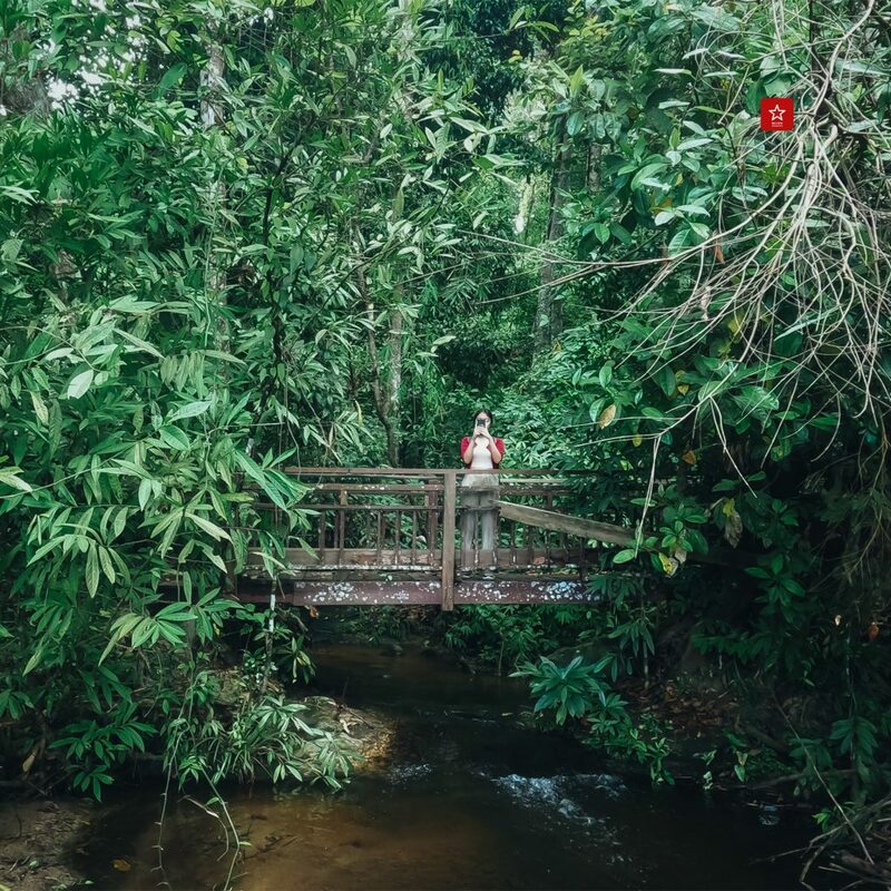 chiangmaihiking, dtac, onedaytrip, reviewchiangmai, true, truexdtac5gที่ดีกว่า, truexdtacbettertogether, ชีวิตดีกว่าเมื่อมีกันและกัน, น้ำตกมณฑาธาร, รีวิวเชียงใหม่, เชียงใหม่ไลฟ์สไตล์, เดินป่าเชียงใหม่, น้ำตกมณฑาธาร เดินป่าหน้าฝน ต้นกำเนิดจากยอดดอยปุย