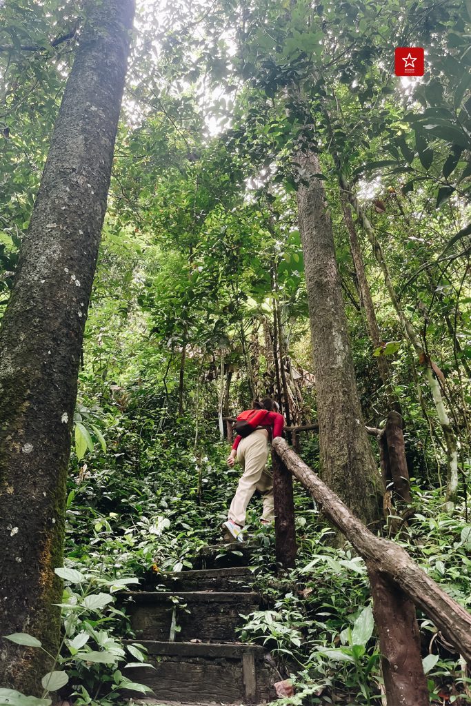 chiangmaihiking, dtac, onedaytrip, reviewchiangmai, true, truexdtac5gที่ดีกว่า, truexdtacbettertogether, ชีวิตดีกว่าเมื่อมีกันและกัน, น้ำตกมณฑาธาร, รีวิวเชียงใหม่, เชียงใหม่ไลฟ์สไตล์, เดินป่าเชียงใหม่, น้ำตกมณฑาธาร เดินป่าหน้าฝน ต้นกำเนิดจากยอดดอยปุย