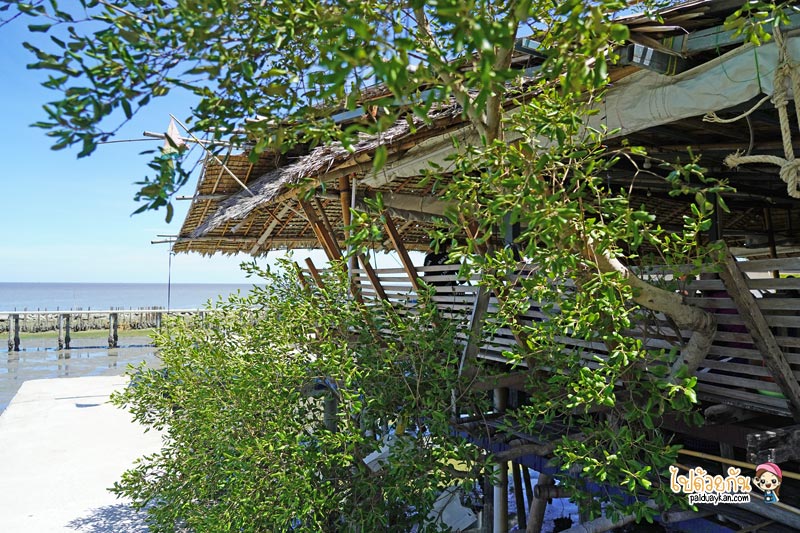 ครัวกันเองป้าจวน, ร้านอาหารทะเลจุดวิวสะพานแดง, ร้านอาหารทะเลสมุทรสาคร, ครัวกันเอง ป้าจวน ยกความสดของอาหารทะเลแบบจัดเต็ม