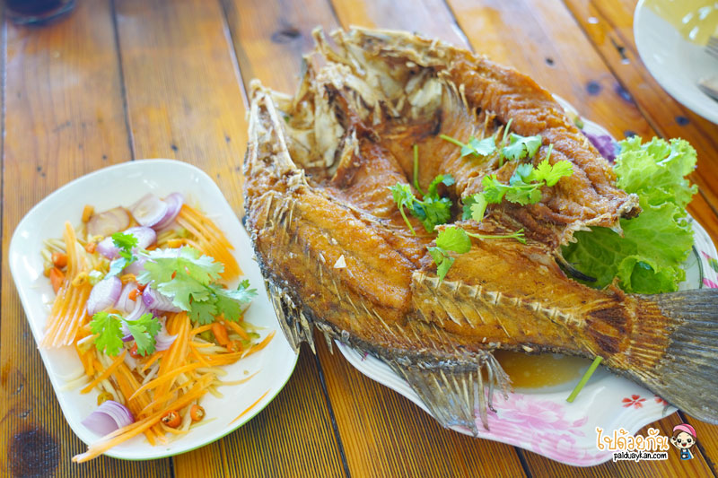 ครัวกันเองป้าจวน, ร้านอาหารทะเลจุดวิวสะพานแดง, ร้านอาหารทะเลสมุทรสาคร, ครัวกันเอง ป้าจวน ยกความสดของอาหารทะเลแบบจัดเต็ม