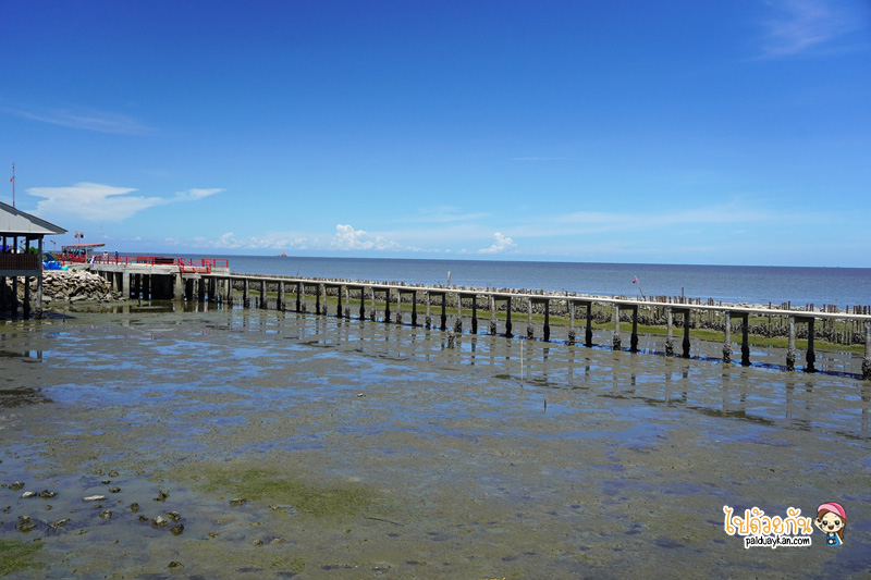 ครัวกันเองป้าจวน, ร้านอาหารทะเลจุดวิวสะพานแดง, ร้านอาหารทะเลสมุทรสาคร, ครัวกันเอง ป้าจวน ยกความสดของอาหารทะเลแบบจัดเต็ม