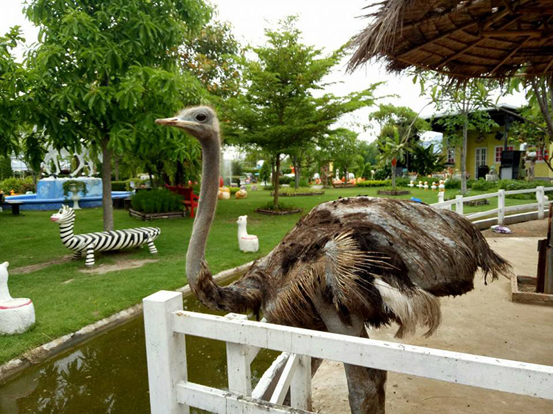 นครนายก, top 22+ ที่เที่ยวนครนายก 2567 ไปเช้าเย็นกลับ adventure ที่เที่ยวเปิดใหม่ น้ำตก คาเฟ่