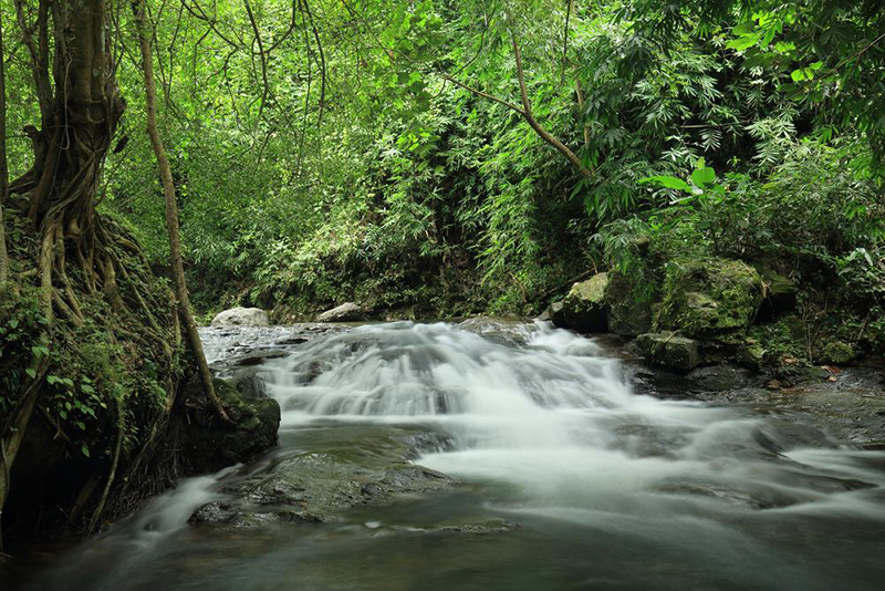 นครนายก, top 22+ ที่เที่ยวนครนายก 2567 ไปเช้าเย็นกลับ adventure ที่เที่ยวเปิดใหม่ น้ำตก คาเฟ่