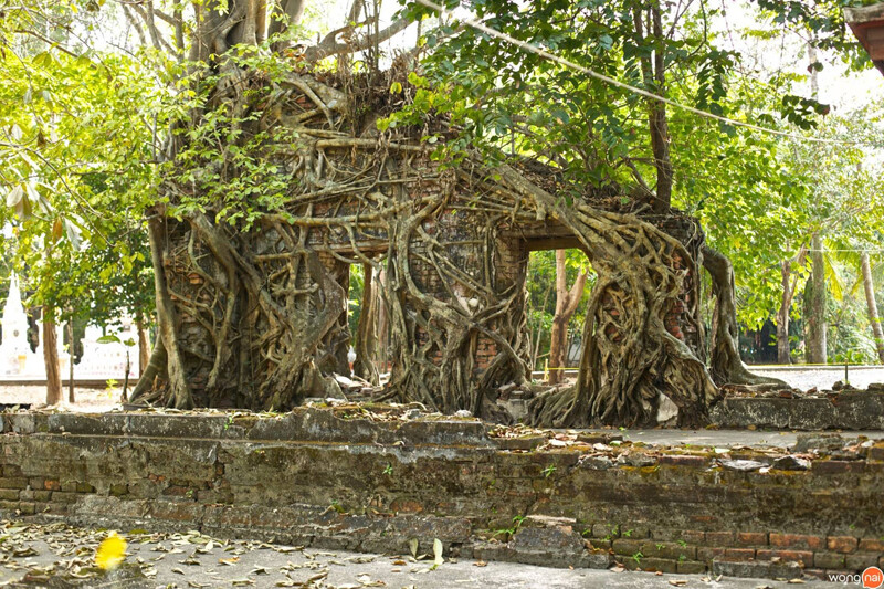 นครนายก, top 22+ ที่เที่ยวนครนายก 2567 ไปเช้าเย็นกลับ adventure ที่เที่ยวเปิดใหม่ น้ำตก คาเฟ่