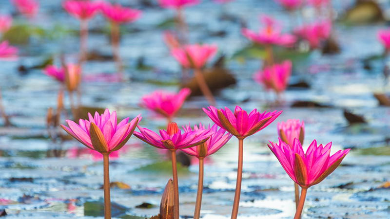 นครนายก, top 22+ ที่เที่ยวนครนายก 2567 ไปเช้าเย็นกลับ adventure ที่เที่ยวเปิดใหม่ น้ำตก คาเฟ่