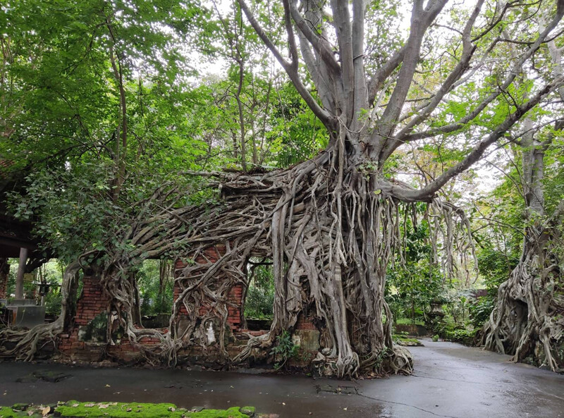 นครนายก, top 22+ ที่เที่ยวนครนายก 2567 ไปเช้าเย็นกลับ adventure ที่เที่ยวเปิดใหม่ น้ำตก คาเฟ่