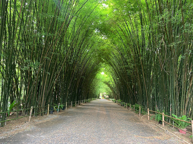 นครนายก, top 22+ ที่เที่ยวนครนายก 2567 ไปเช้าเย็นกลับ adventure ที่เที่ยวเปิดใหม่ น้ำตก คาเฟ่