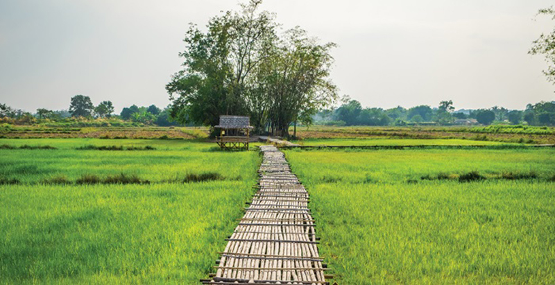 นครนายก, top 22+ ที่เที่ยวนครนายก 2567 ไปเช้าเย็นกลับ adventure ที่เที่ยวเปิดใหม่ น้ำตก คาเฟ่